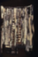 Shaman's Robe