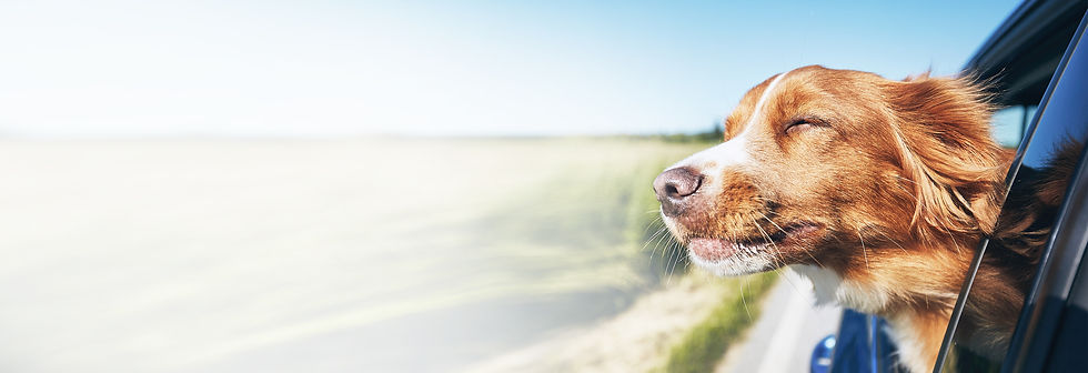 3000x1028_header-sommer3.jpg