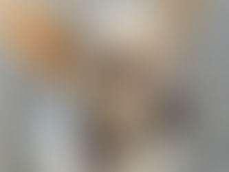 Der goldene Oktober: 7 neue Fellnasen in Deutschland – Unsere Ankünfte im Oktober –