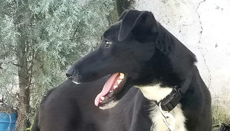 Unser Wonnemonat Mai