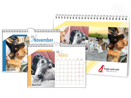Vergiss mich nicht Tiernothilfe Kalender 2023