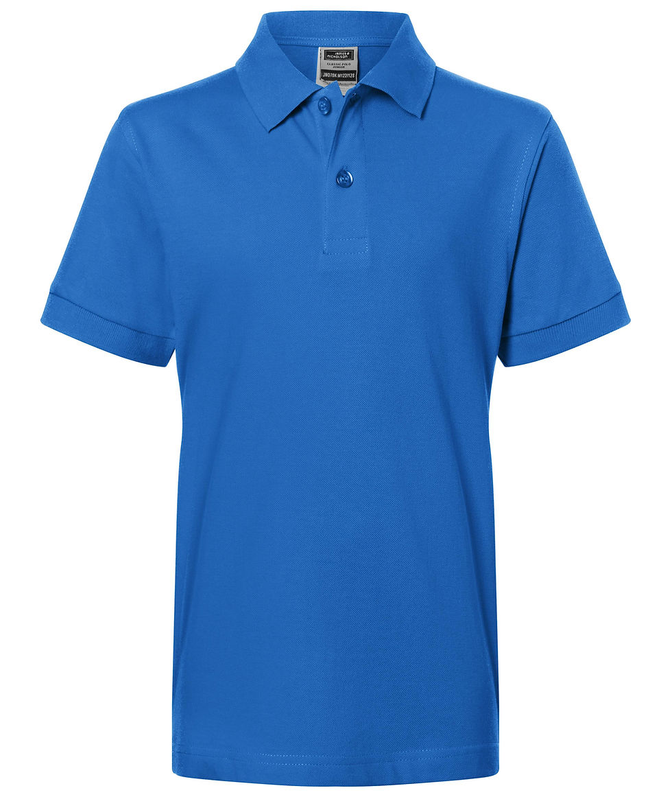 Miniaturbild: Poloshirt in verschieden Farben Unisex