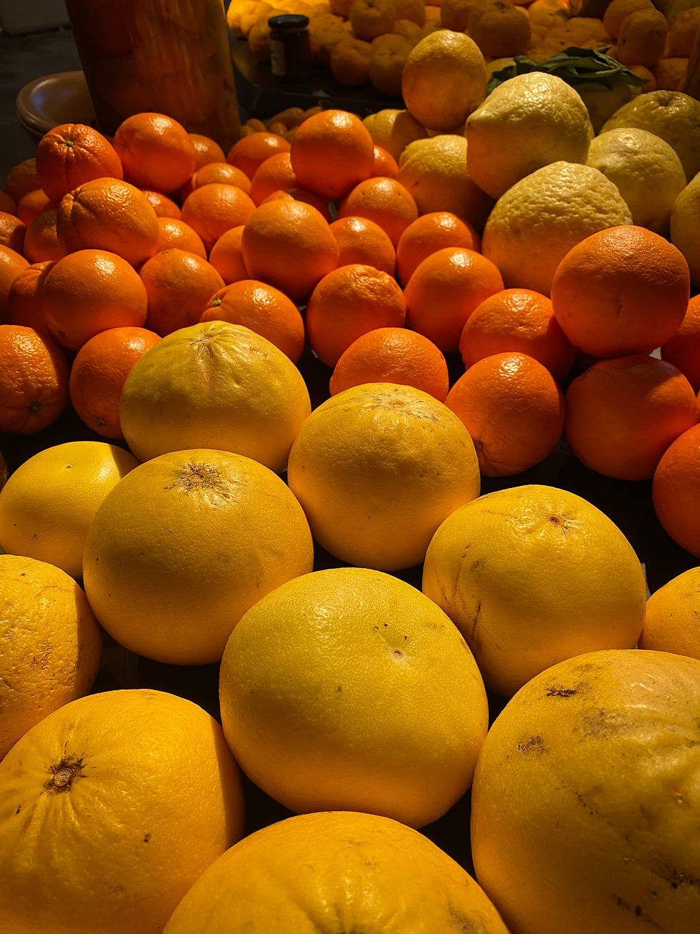 Menton - a border town