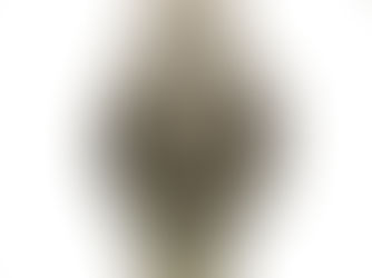 Rolex Paul Newman Cosmograph "Tropical"