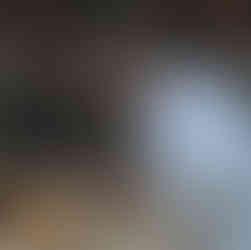 Luxe Auctioneers by Peter Planes booth inspected by Matthew Bain