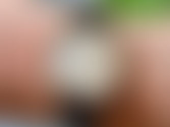 "Flame lug" Patek Philippe ref. 2431