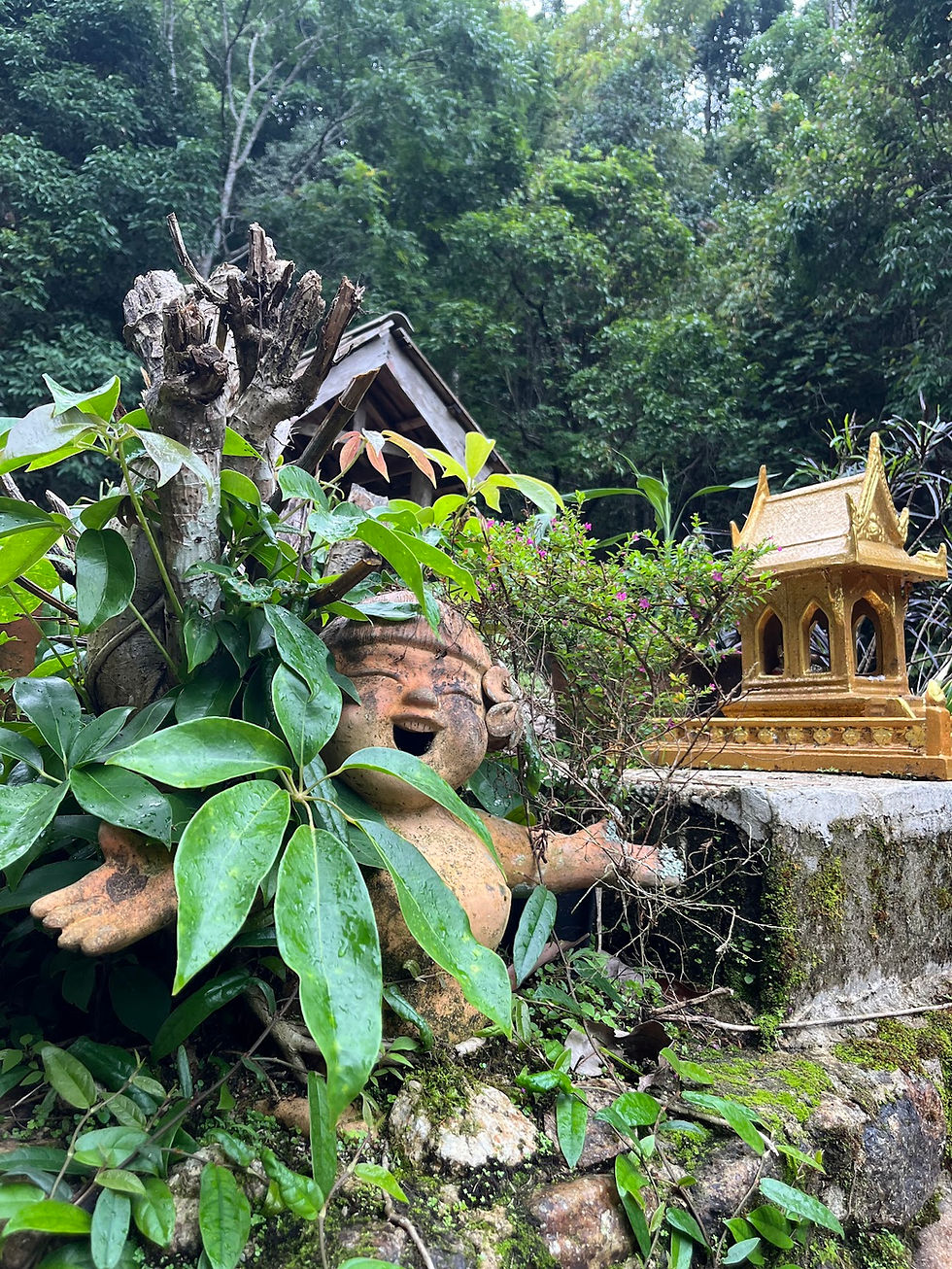 chiang mai happy.jpg