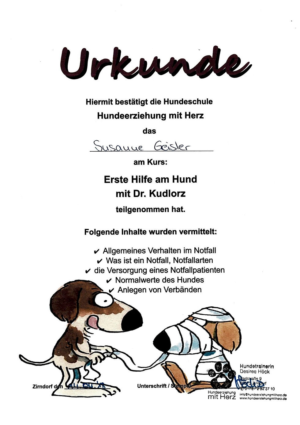 Erste Hilfe am Hund.jpg