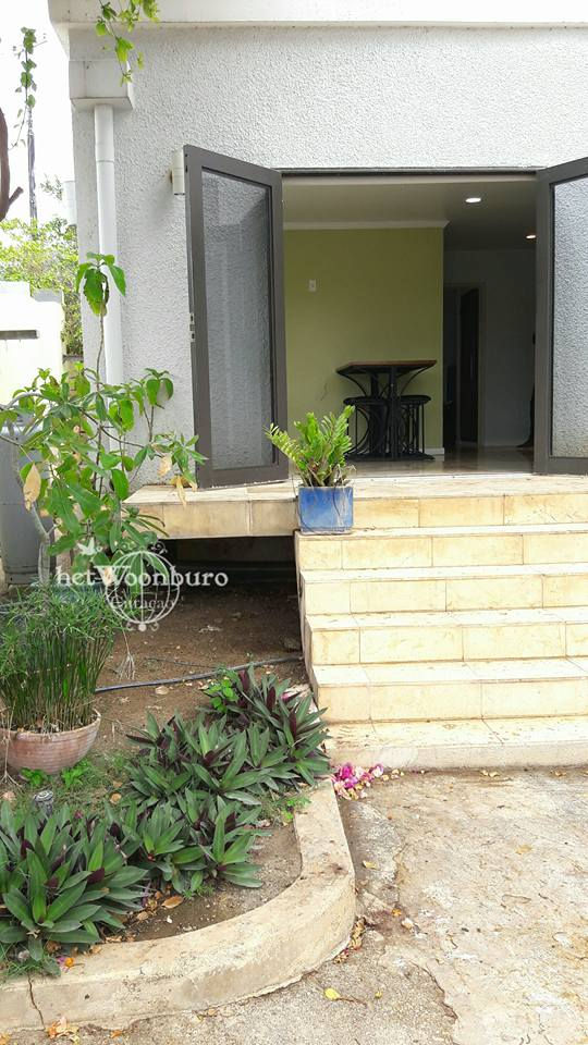 Miniatura: TONI KUNCHI