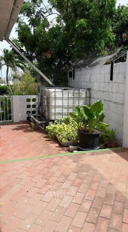 Thumbnail: Buena Vista