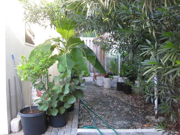 Thumbnail: Santa Rosa