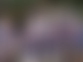 Schreinerei Spangler