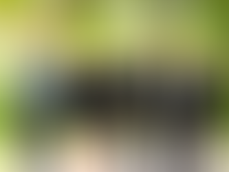 whg Werkmann Hien Gitschel PartGmbB