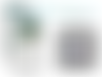 Garching an der Alz hat jetzt eine eigene App