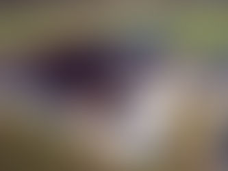 Schreinerei Karlheinz Niedermeier