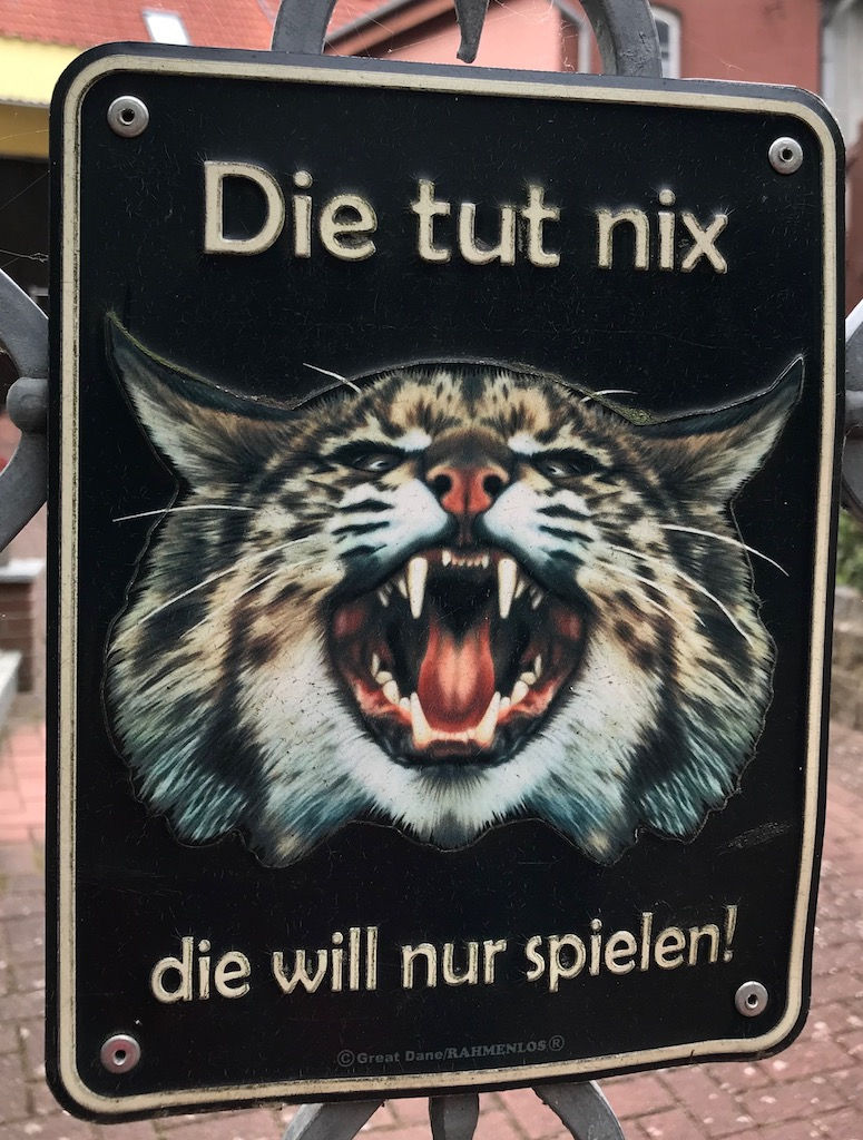 Stimme - Instrument 2025