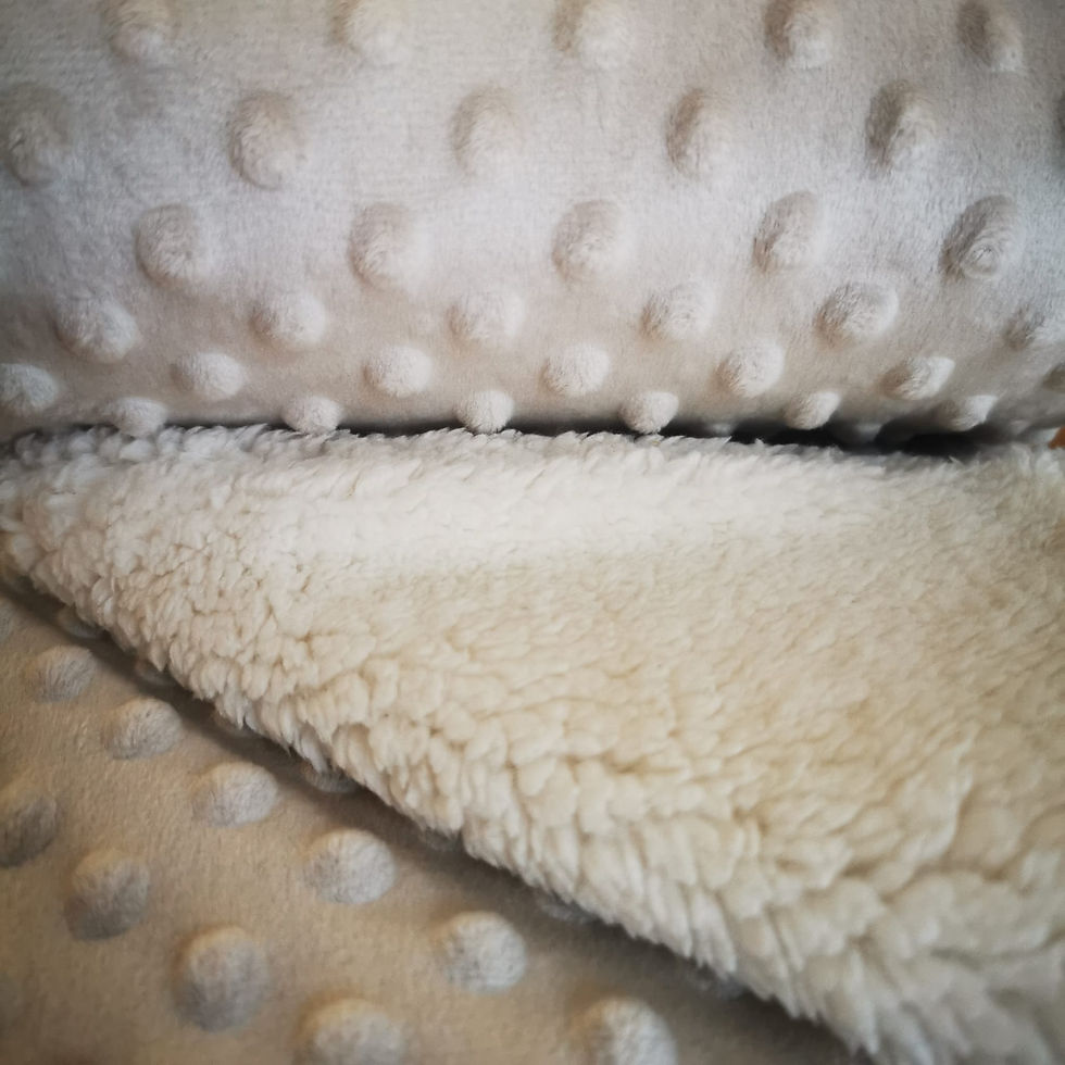 Miniature : Couverture - Elie