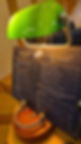 signal-2025-05-31-195548.jpeg