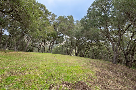 Opportunity in the Preserve 