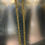Thumbnail: 18KT Goud - 42 Gram - Ketting - KONING - Hol