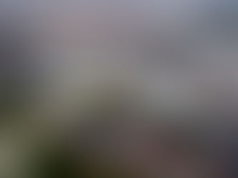 BLG testet Vorstaufläche für Autoterminal-Zulaufverkehre