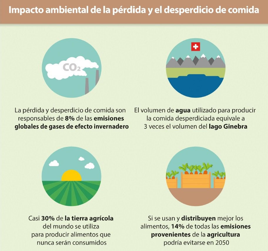 Impacto ambiental y desperdicio de comida ONU