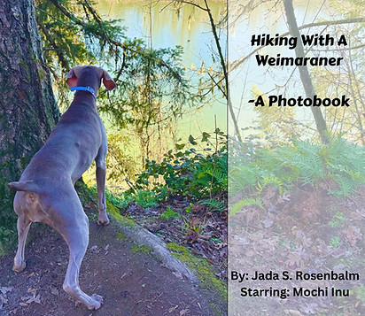 Hiking with a Weim.jpg