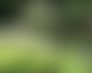 Momente von Frieden, Freude, Lachen wie auch ihr Gegenteil dürfen sein...