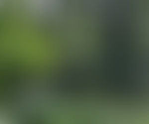 Der voll erblühte Garten der Natur ...