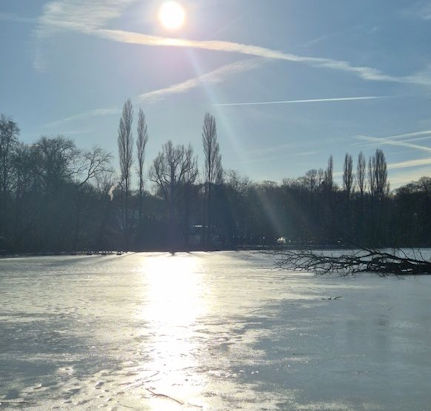 Während das Licht immer stärker wird, in tiefste, dichte Schichten eindringt, sie sichtbar macht, INS LICHT hebt...