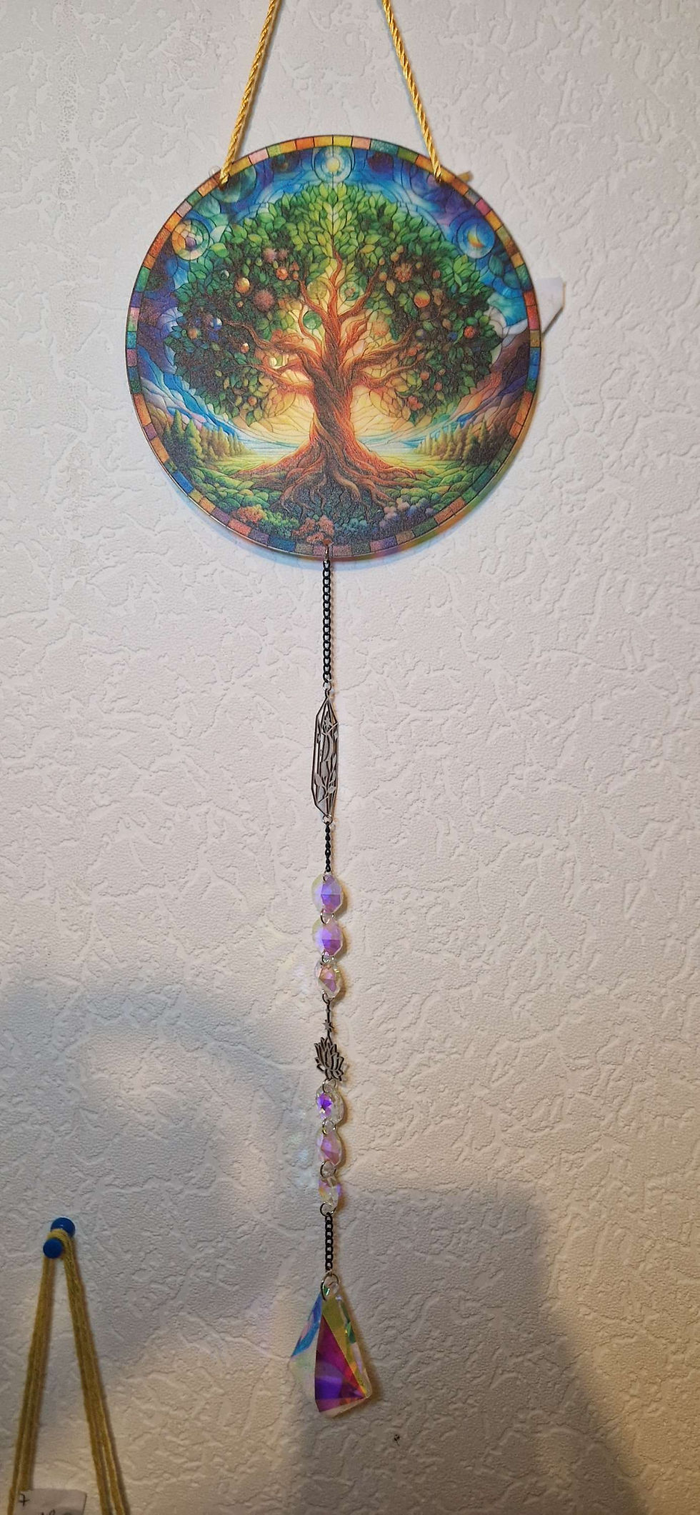 Attrape Soleil n°41