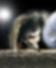 dancer-5576002_1280.jpg