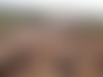 O IMPACTO DA PERVERSÃO DO HUMANO