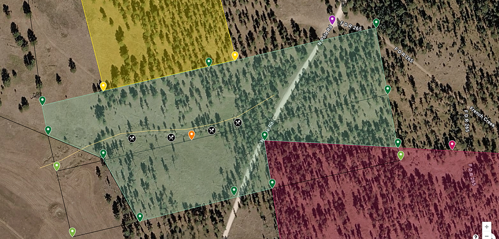 Thumbnail: Gold Lode Claim 3, Custer Black Hills South Dakota