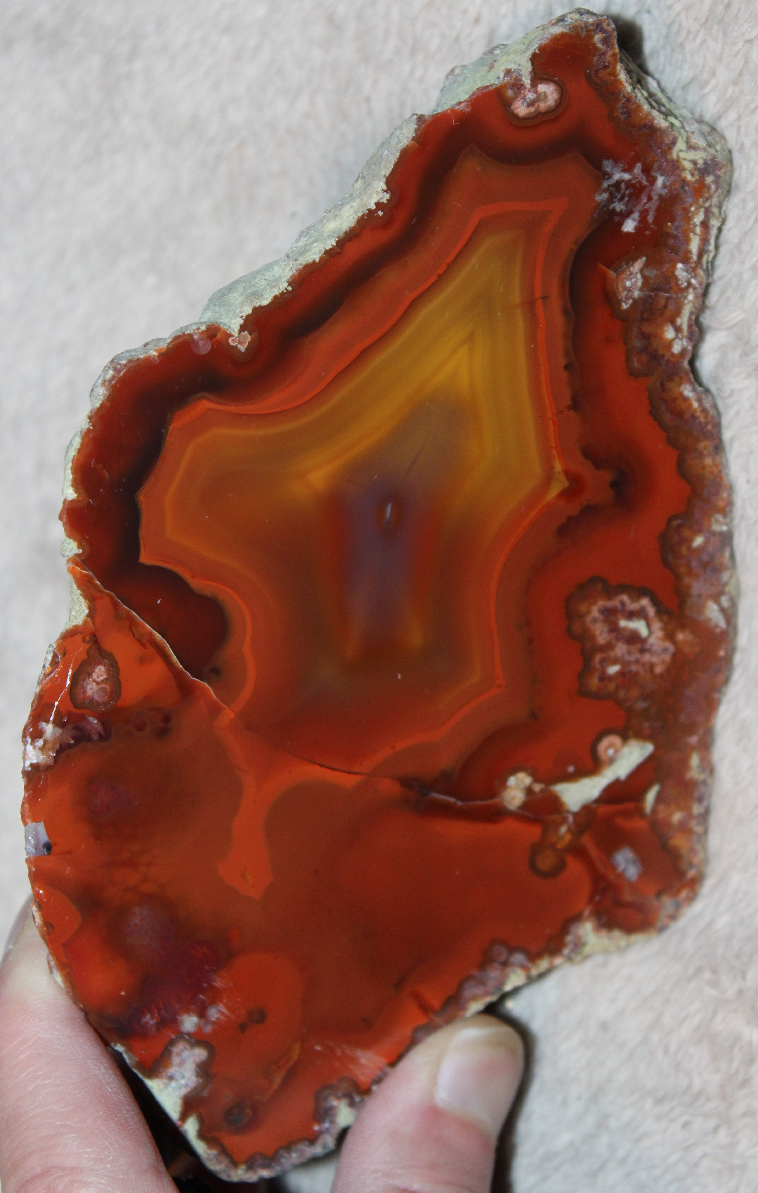 APACHE AGATE #6 "The Burning Man" MUSEUM Quality Agate specimen polished half