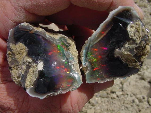 Virgin Valley Opal Mines Fee Digs Mining