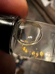 Test Pan Placer Gold Black Hills South Dakota Mining Claims For Sale