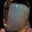 Thumbnail: Virgin Valley Precious CRYSTAL OPAL Gem Limb Cast, Nevada