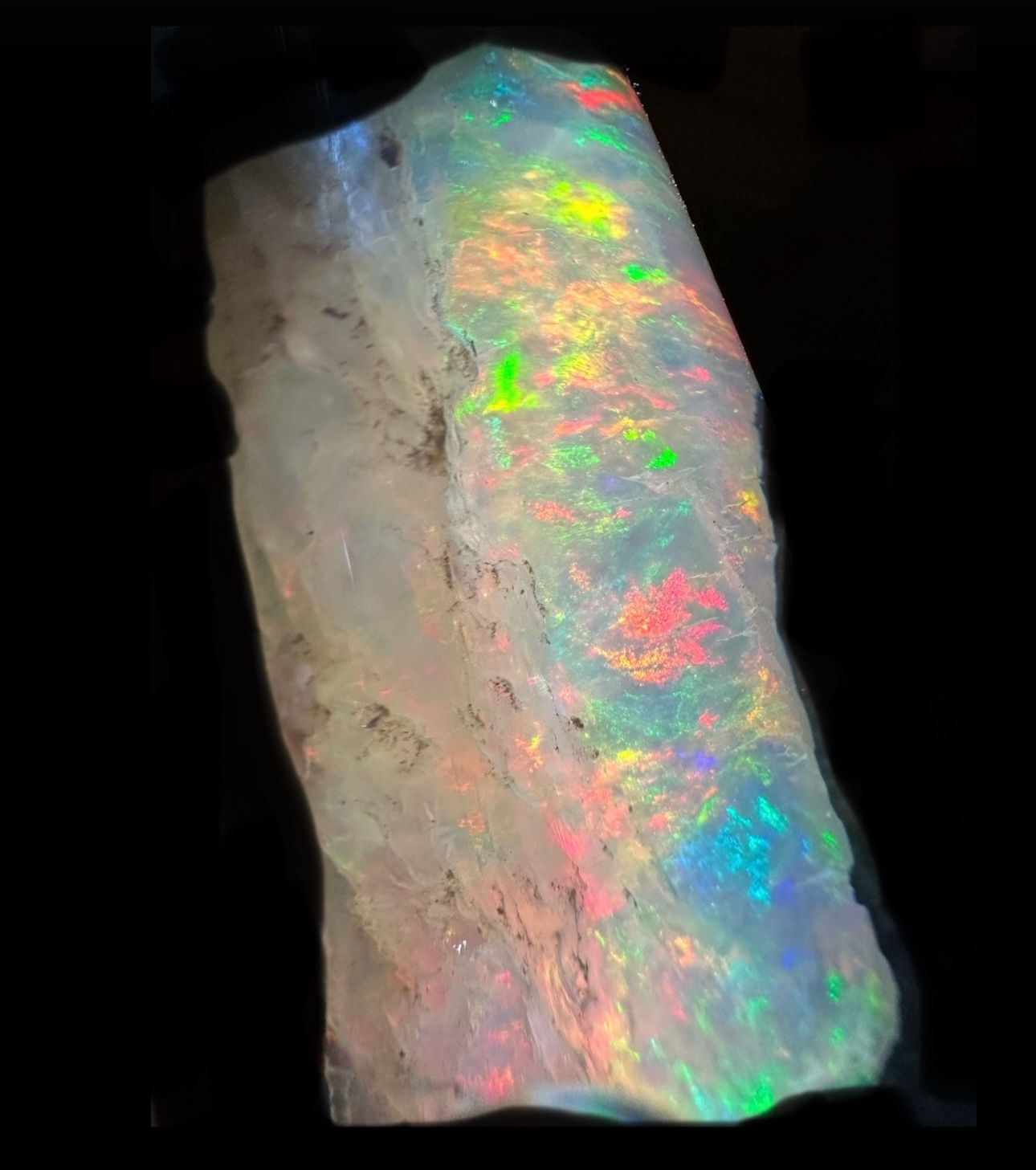 Virgin Valley Precious CRYSTAL OPAL Gem Limb Cast, Nevada