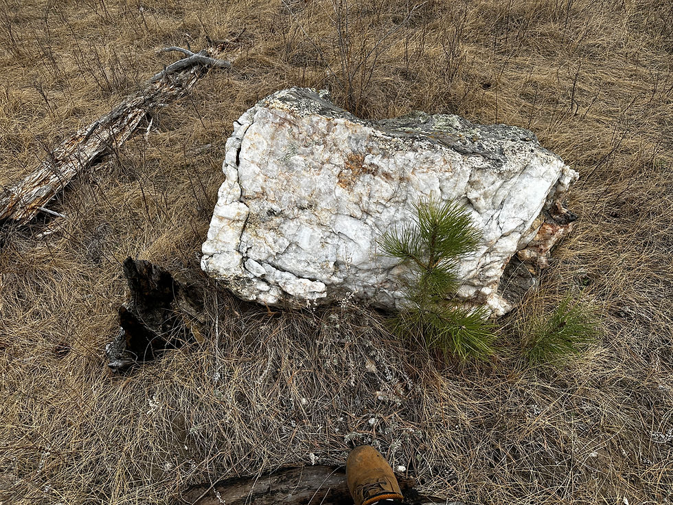 Thumbnail: Gold Lode Claim 3, Custer Black Hills South Dakota