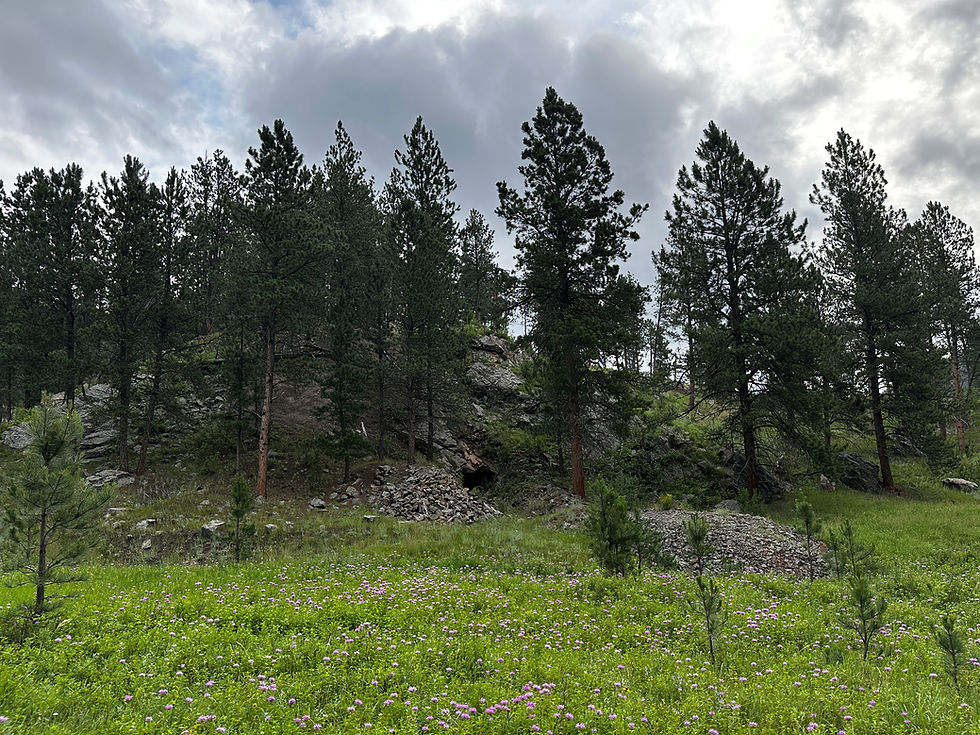 Thumbnail: Gold LODE claim #1, 20 acres Custer Black Hills South Dakota