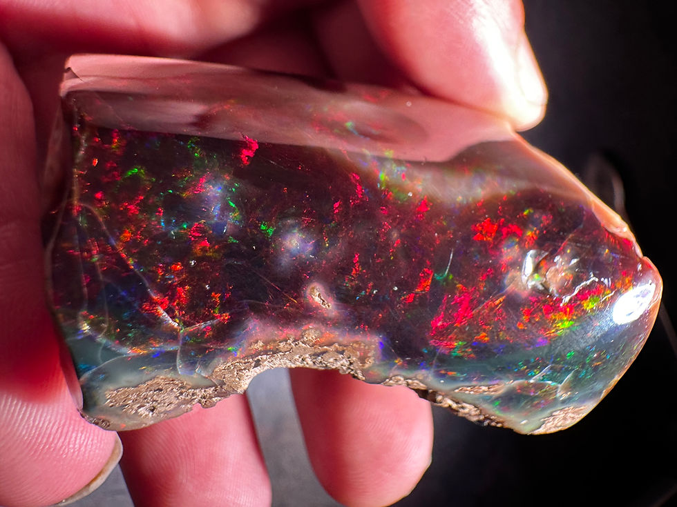 Virgin Valley Nevada Black Opal Limb Cast