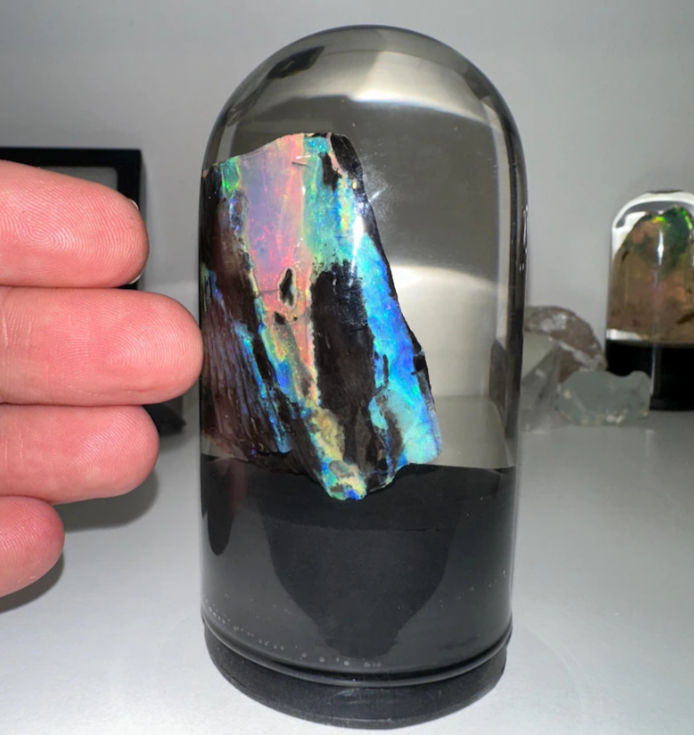 Precious CRYSTAL OPAL in altered petrified wood fossil Limb Cast, Virgin Valley