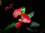 7BD26040-AFCD-400D-8FA5-319AA95138B8_1_105_c.jpeg