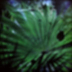 Yucatan Peninsula, Mexico 2014