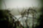 Lake Monona, Wisconsin 2013