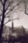 Notre Dame - Paris 2006