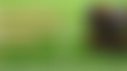 🏈🏈INTERCEPTED is NOW LIVE - An Amazon exclusive and Free to read with Kindle Unlimited🏈🏈