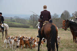 Burg-Schlitz-2013-1196