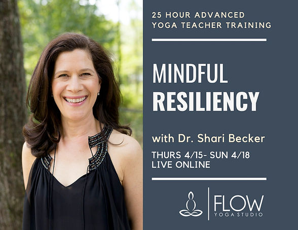 MINDFUL RESILIENCY POSTCARD.jpg